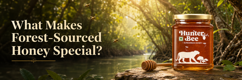 Forest-Sourced Honey 