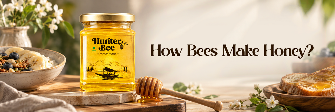 How Bees Make Honey